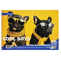 Альбом для малювання Cool boys Апельсин АП-0309-5, 30 аркушів, пружина