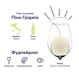 Упаковка вина Gerardo Cesari Pinot Grigio delle Venezie біле сухе 4.5 л (0.75 л x 6 шт.) - мініатюра 3
