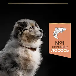 Сухий корм Purina Pro Plan Medium Puppy <1 Sensitive Skin для цуценят середніх порід з чутливою шкірою з лососем 12 кг (12367295) - мініатюра 7
