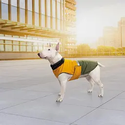 Попона Pet Fashion Roy для собак, розмір 6XL, хакі-гірчиця - мініатюра 7