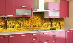 Вініловий кухонний фартух Пожовклі дерева наклейка для кухні ліс Природа Помаранчевий Happy Pocket Z181838 - мініатюра 3