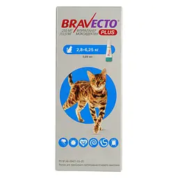 Засіб від паразитів Bravecto Plus Spot-on, для котів вагою 2,8-6,25 кг, 250 мг - мініатюра 2