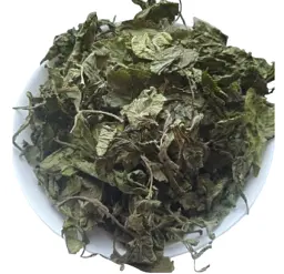 Бузина чорна Листя Бозяк Буз Самбук Бездерево Sambucus nigra - мініатюра 1