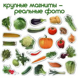 Магнітний набір Magdum Овочі (ML4031-12 EN) - мініатюра 2