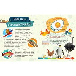 Навчальна книжка Чомусики "Тварини" 875008 запитання та відповіді - мініатюра 3