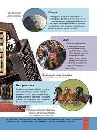 Дитяча енциклопедія математики - Тім Колінз - мініатюра 5