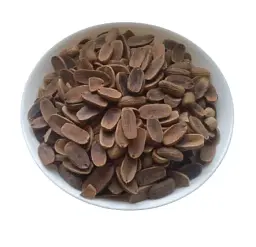 Жолудь Quercus robur - мініатюра 1