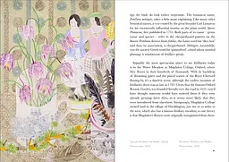 The Book of Wild Flowers - мініатюра 5