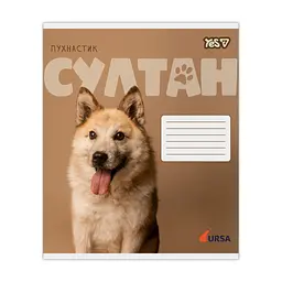 Зошит Yes Ursa А5 24 аркушів клітинка (768956), в асортименті - мініатюра 5