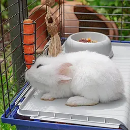 Клітка Ferplast Rabbit 120 для кроликів та морських свинок - мініатюра 14