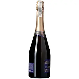 Ігристе вино AZNAURI біл брют 0.75 л (730439) - мініатюра 2