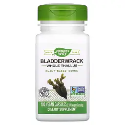 Фукус пухирчастий Nature's Way Bladderwrack, 100 вегакапсул для підтримки щитовидної залози