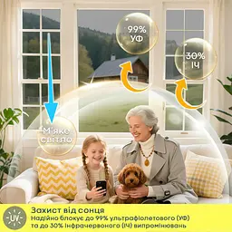Дзеркальна сонцезахисна плівка для вікон Бронза 600х10000х0,08мм SW-00002716 - мініатюра 6