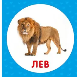 Дикі тварини. Перша книжка малюка - мініатюра 6