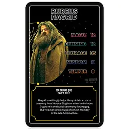 Настільна гра Winning Moves Harry Potter Quiz Heroes of Hogwarts - мініатюра 5