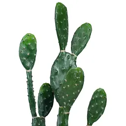 Штучна рослина Engard Cactus 95 cм (TW-42) - мініатюра 2