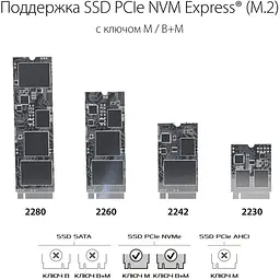 Зовнішня кишеня Asus ROG Strix Arion для SSD M.2 PCIe NVMe ESD-S1C/BLK/G/AS [69862] - мініатюра 5
