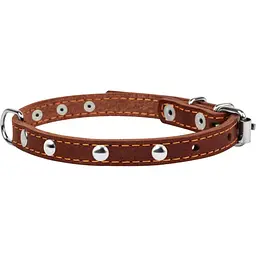 Нашийник одинарний Collar, з прикрасами, шкіра, 24-32х1,2 см, коричневий - мініатюра 2