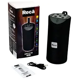 Акустична система Reca AST-311B Black - мініатюра 4