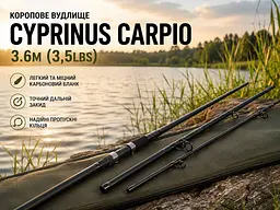 Коропове вудлище Cyprinus carpio 3.6м (3,5lbs) - мініатюра 5