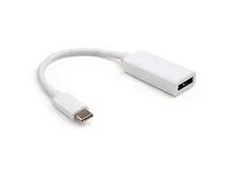 Перехідник Vinga USB-C - DisplayPort 0.15m White (VCPTCDP15)