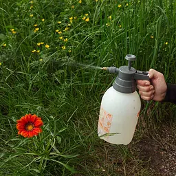 Обприскувач ручний Flora 2 л (5004334) - мініатюра 2