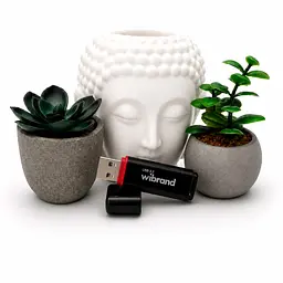 USB флеш накопичувач Wibrand 128GB Scarab Black USB 3.2 (WI3.2/SC128P11B) - мініатюра 5