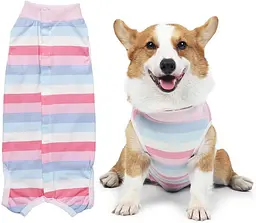 Костюм для відновлення собак WanTalk Striped Recovery Suit, Pink, L