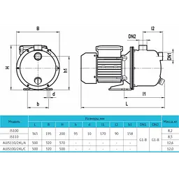 Поверхневий насос Rudes JS 110 - мініатюра 3