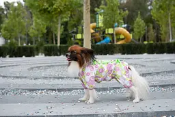 Комбінезон Smart Pet Florist