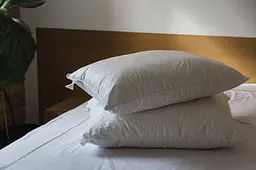 Подушка Ecotton 50х70 см Ecofill Premium антиалергенна з біопухом біла в чохлі для зберігання White (25069) - мініатюра 6