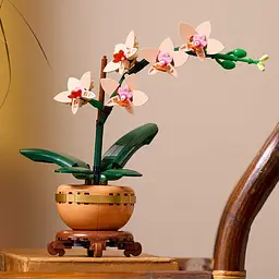 Конструктор LEGO Botanicals Міні орхідея 274 деталі (10343) - мініатюра 8
