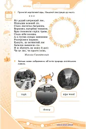 Зимові вправи на кожний день. Осінь весна. 4 клас - Інна Єфімова - мініатюра 4