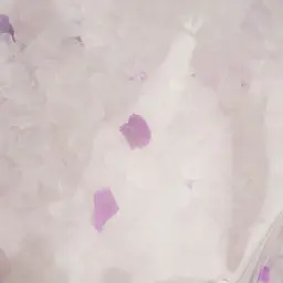 Силікагелевий наповнювач для котячого туалету Best Cat Purple Lawanda 10 л (SGL010) - мініатюра 4