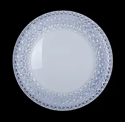 Люстра стельова LED Splendid Ray L8268/24Wx2, 48W, білий, сучасний стиль з пультом - мініатюра 2