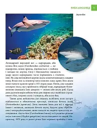 Найнебезпечніші істоти планети. Енциклопедія для допитливих - Андрій Гапченко - мініатюра 6