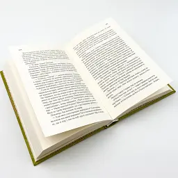 Инициация - Люко Дашвар | Клуб Семейного Досуга, книга на украинском, новая, твердая - миниатюра 3