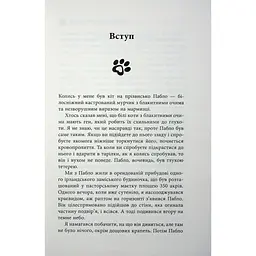 Таємничий світ котів - Гербі Бреннан Фабула (9786175223475) - мініатюра 10