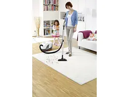 Пилосос Karcher DS 6 Plus (1.195-252.0) - мініатюра 9