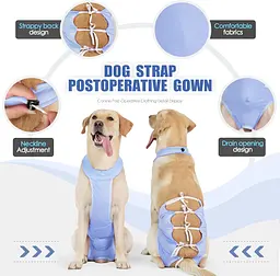 Дихаюча попона для собак Derby Breathable Pet Recovery Suit, Blue, L - мініатюра 2