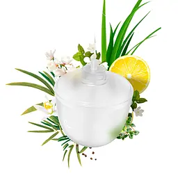 Ефірне масло (картридж) для аромадіфузору Xiaomi Simpleway Aromatherapy (Бамбук)