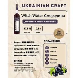 Напій алкогольний Witch Water Смородина десертний плодовий 17.5% 0.5 л - мініатюра 5