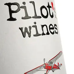 Вино Pilot’s Wines Riesling біле сухе 0.75 л - мініатюра 4