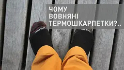 Шкарпетки Lasting WLS - мініатюра 2