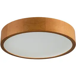 Світильник стельовий Kanlux Jasmin 370-G/O-Kanlux