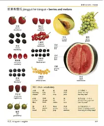 Mandarin Chinese-English Bilingual Visual Dictionary - - мініатюра 8
