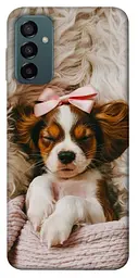 TPU чохол Demsky Sleepy spaniel для Samsung Galaxy M23 5G