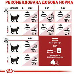 Сухий корм для домашніх та вуличних котів Royal Canin Fit м'ясо птиці та рис 0.4 кг - мініатюра 5