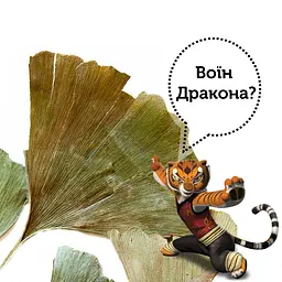 Трав'яний чай Гінкго Білоба - 50 г - мініатюра 3