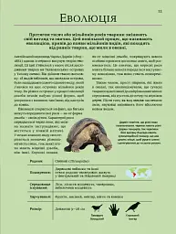 Велика книга тварин - мініатюра 11